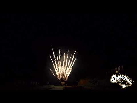 Brocade Tail To Brocade Crown With White Strobes With Brocade Mine von Pyrogenie (Zerleger)